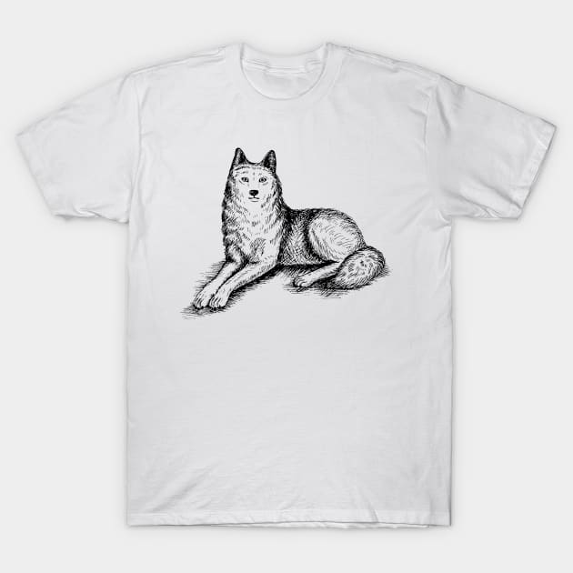 Lying Wolf T-Shirt by illucalliart